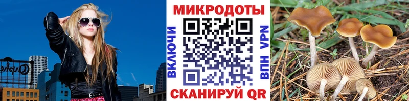 Галлюциногенные грибы ЛСД  Сокол 